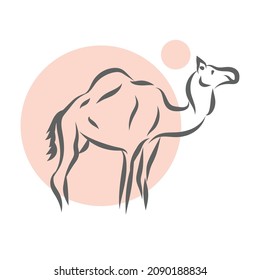 Camel Drawing Line Art Illustration