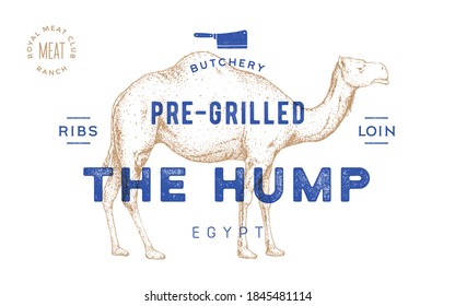 Camel, dromedary. Template Label. Vintage retro print, tag, label with camel drawing, engraved old school style. Poster for Butchery meat shop, text, typography, camel silhouette. Vector Illustration