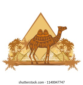 Camel in egypt desert - banner