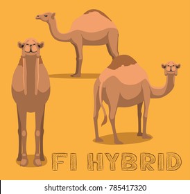 Camel F1 Hybrid Cartoon Vector Illustration