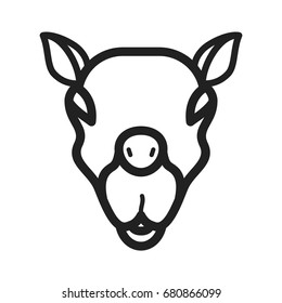 Camel Face