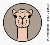 Camel Face Front Profile illustration in circle can be use as logo, symbol or icon - Vector