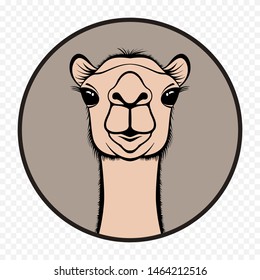 Camel Face Front Profile illustration in circle can be use as logo, symbol or icon - Vector