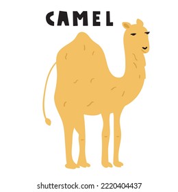 Camel. Flat design. Hand drawn vector illustration on white background. 