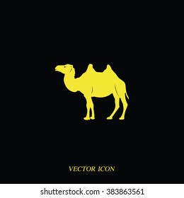 Camel flat icon. Animal illustration.