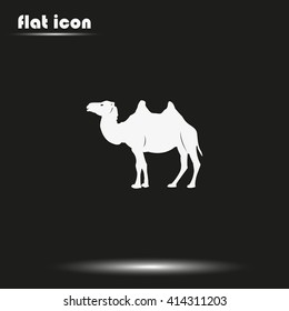 Camel flat icon. Animal illustration.