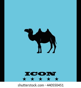 Camel flat icon. Animal illustration.