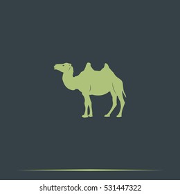 Camel flat icon. Animal illustration.