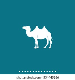 Camel flat icon. Animal illustration.