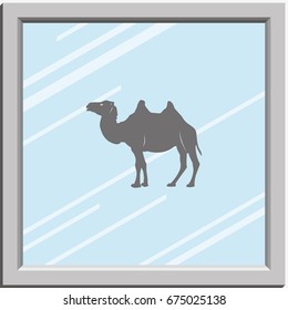 Camel flat icon. Animal illustration.