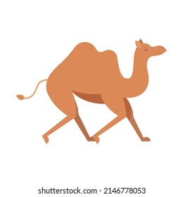 Camello - Diseño de iconos planos