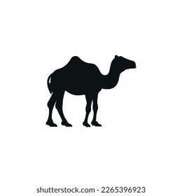 Camel flat icon isolated on white background. Islamic icon vector. Ramadan icon vector