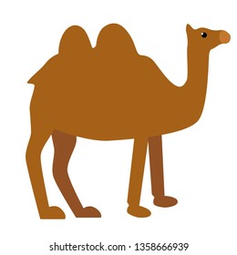camel flat illustration on white