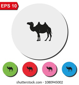 Camel flat round colorful vector icon. Animal illustration.