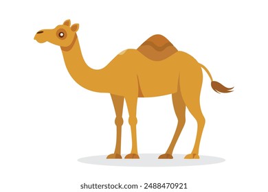 
camel flat vector illustration on white background.