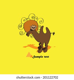 Camel glasses from the sun and hat