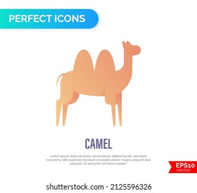 Camel gradient flat icon. Vector illustration.