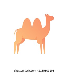 Camel gradient flat icon. Vector illustration.