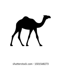 Camel graphic icon. Camel black sign isolated on white background. Camel symbol of desert. Vector illustration