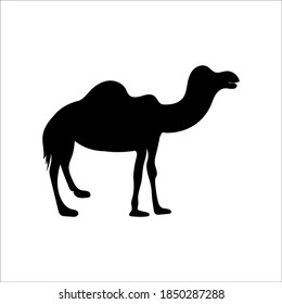 Camel graphic icon. Camel black sign isolated on white background. Camel symbol of desert.