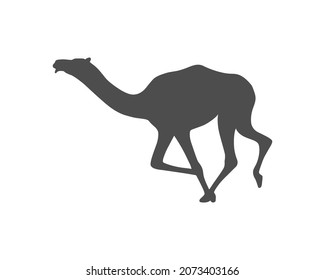Camel graphic icon. Running camel sign isolated on white background. Symbol camel race. Vector illustration