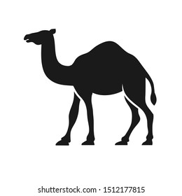 Camel Graphic Silhouette Logo Design vector