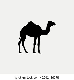 Camel graphic silhouette vector illustration