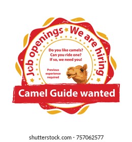 Camel guide wanted - job openings