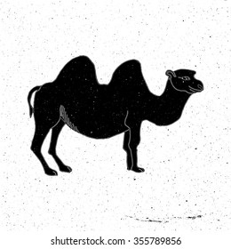Camel hand drawn in grunge style, can be used as t-shirt print, textile, background, sign for the zoo and the circus, logo, tattoo, poster