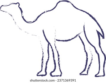 Camel hand drawn vector illustration