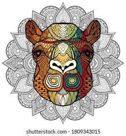 Camel head in detailed style. Zentangle camel. Vector pattern for tribal design. Geometric Ethnic motif with rhombus, triangles. Graphic style. Camel for print, web, textile, wrapping paper.