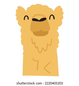 Camel head. Hand drawn vector flat illustration.