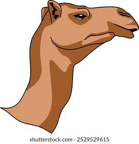 camel head vector from the desert