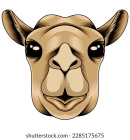 camel head vector illustration in detailed style