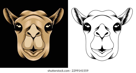 Camel head vector illustration in detailed style