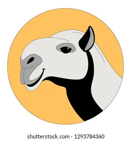 camel head  vector illustration, lining draw,profile side