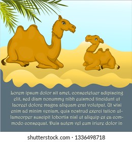 A camel with her calf . Cartoon funny camel sitting on sand, spiking and smiling to her baby camel. Can be used for kids books.Kids story illustration.