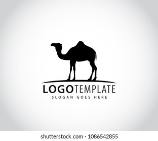 camel in horizon line vector icon logo design template