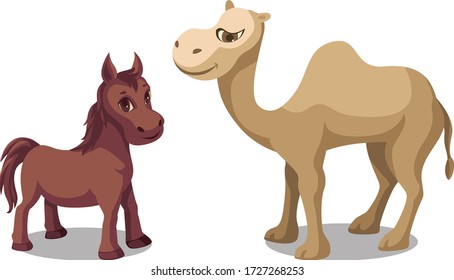 camel and horse standing together