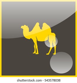 Camel icon.