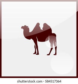 Camel icon.