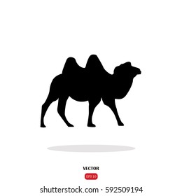 camel icon