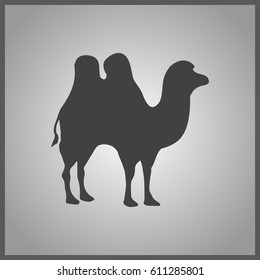 camel icon