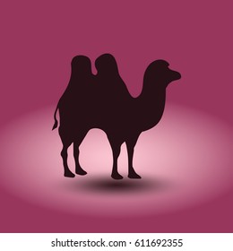 camel icon