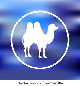 camel icon