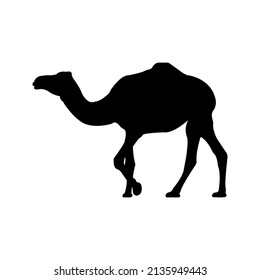 Camel icon. animal sign. silhouette style.color editable