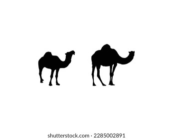 Camel icon animal  vector illustration. Set of Camel Silhouettes Vector Illustration.black silhouette of camel caravan. Black Camel Illustration Animal Logo Silhouette.isolated over white background.
