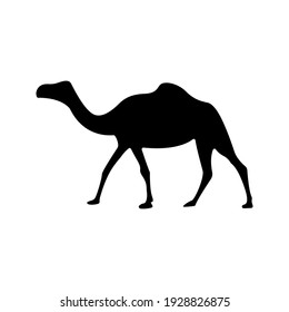 Camel Vector の画像 写真素材 ベクター画像 Shutterstock