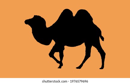 Camel icon. animals sign. vector illustration.