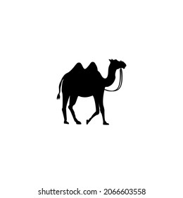 Camel icon in black on a white background. Vector. 